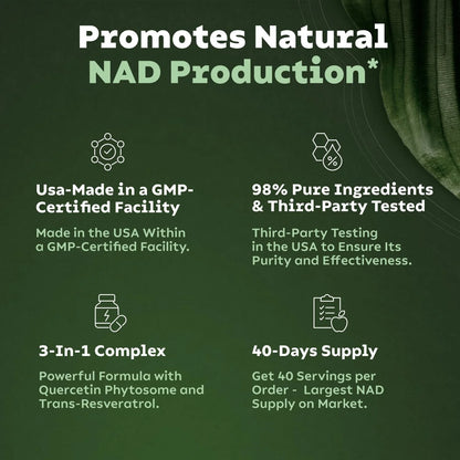 Reus Research NR900 – NAD+ Supplement (80 Capsules)